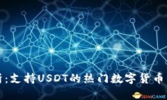 全面解析：支持USDT的热门
