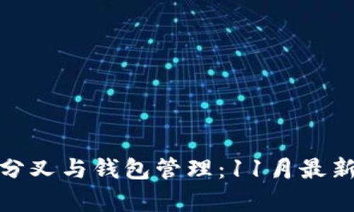 : 比特币分叉与钱包管理：11月最新动态解析