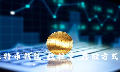 深入剖析比特币钱包：数据量、存储方式与使用指南