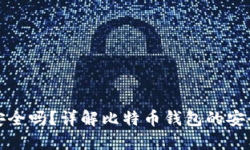 买比特币钱包安全吗？详解比特币钱包的安全性与保护措施