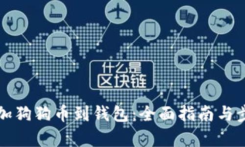 如何添加狗狗币到钱包：全面指南与步骤解析