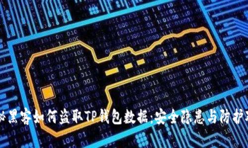 揭秘黑客如何盗取TP钱包数据：安全隐患与防护对策
