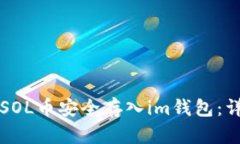 如何将SOL币安全存入im钱包：详细指南