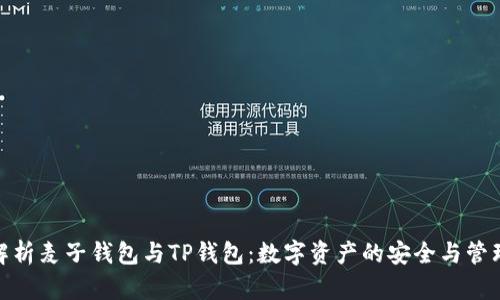 全面解析麦子钱包与TP钱包：数字资产的安全与管理之选