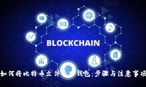 如何将比特币文件导入钱包：步骤与注意事项