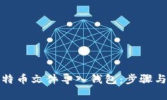如何将比特币文件导入钱
