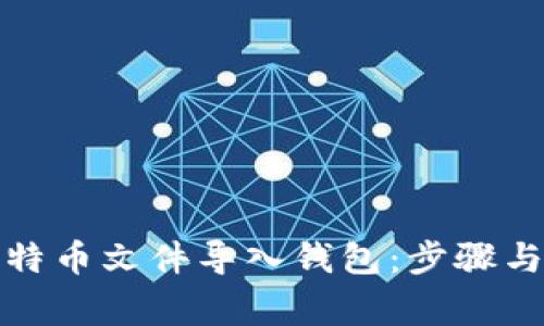 如何将比特币文件导入钱包：步骤与注意事项