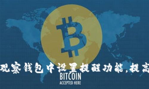 如何在TP观察钱包中设置提醒功能，提高投资效率