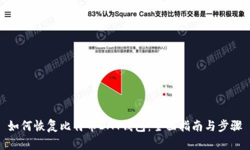 如何恢复比特币DAT钱包：全面指南与步骤