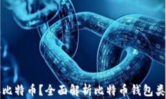 什么钱包能存比特币？全