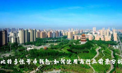 比特多帐号币钱包：如何使用与行业前景分析