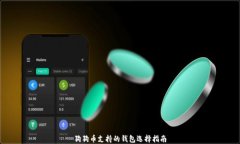 狗狗币支持的钱包选择指南