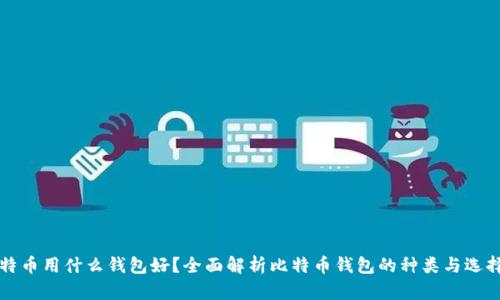 存比特币用什么钱包好？全面解析比特币钱包的种类与选择指南