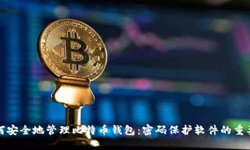 如何安全地管理比特币钱包：密码保护软件的重要性