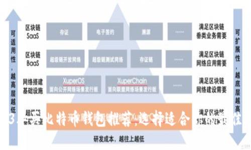 2023年买比特币钱包推荐：选择适合你的最佳选项