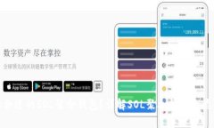 如何选择合适的SOL聚合钱包？详解SOL聚合钱包的