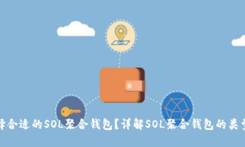 如何选择合适的SOL聚合钱包？详解SOL聚合钱包的类型与优势
