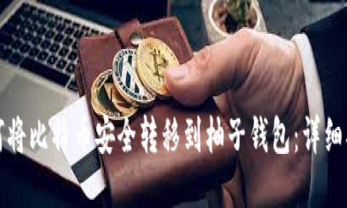 如何将比特币安全转移到柚子钱包：详细指南