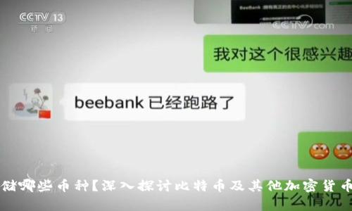 冷钱包能存储哪些币种？深入探讨比特币及其他加密货币的存储方式