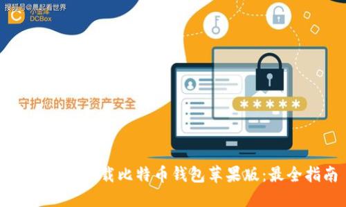如何安全下载比特币钱包苹果版：最全指南