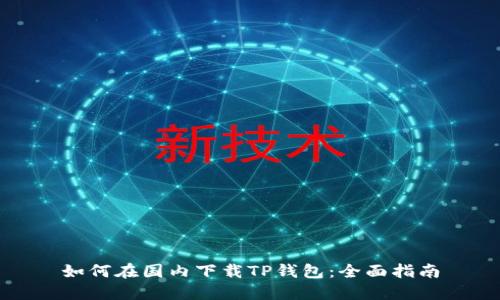 如何在国内下载TP钱包：全面指南