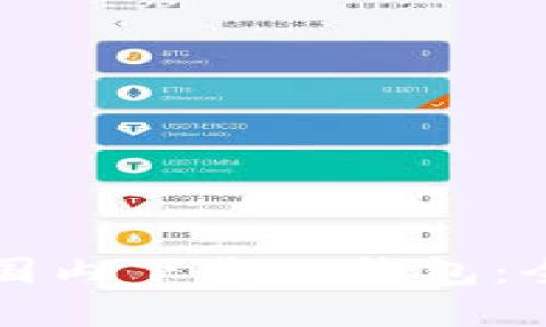 如何在国内下载TP钱包：全面指南