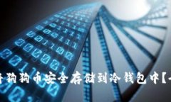 : 如何将狗狗币安全存储到