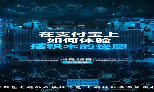  TP钱包支持的区块链总览：支持链种类与使用指南