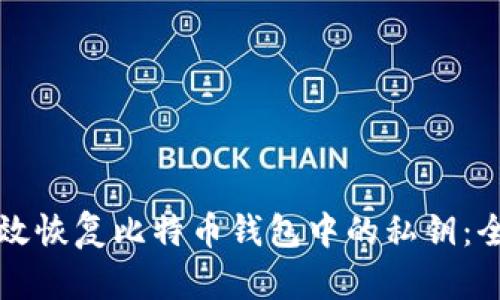 如何有效恢复比特币钱包中的私钥：全面指南