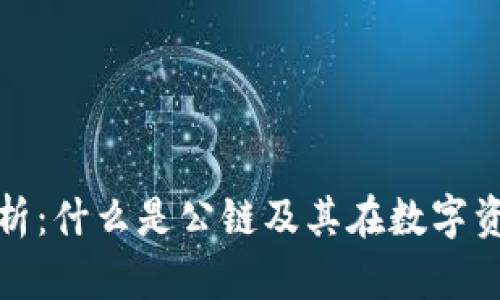 TP钱包上的公链解析：什么是公链及其在数字资产管理中的重要性