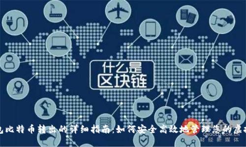 冷钱包比特币转出的详细指南：如何安全高效地管理您的虚拟资产