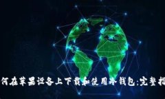 如何在苹果设备上下载和