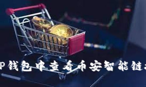 如何在TP钱包中查看币安智能链授权设置