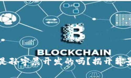 TP钱包是孙宇晨开发的吗？揭开背景与真相