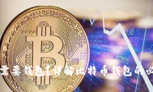 为何比特币需要钱包？详解比特币钱包的必要性与选择