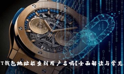 USDT钱包地址能查到用户名吗？全面解读与常见疑问