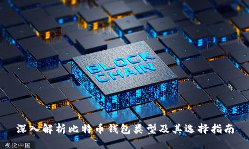 深入解析比特币钱包类型及其选择指南