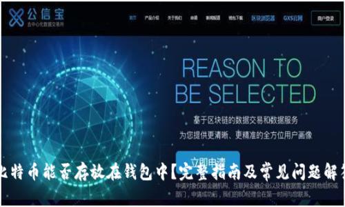 比特币能否存放在钱包中？完整指南及常见问题解答