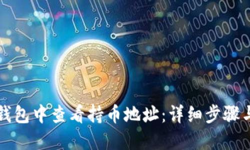 如何在TP钱包中查看持币地址：详细步骤与实用技巧