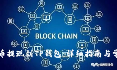 如何将柚子币提现到TP钱包：详细指南与常见问题解答