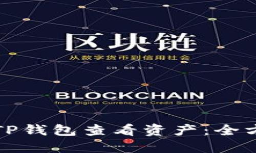 如何在TP钱包查看资产：全方位指南