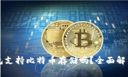 Token.im钱包支持比特币存储吗？全面解析与使用指南