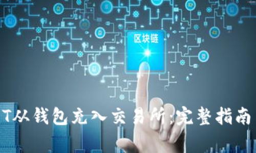 如何将USDT从钱包充入交易所：完整指南与注意事项