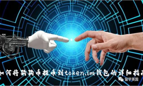 如何将狗狗币提币到token.im钱包的详细指南