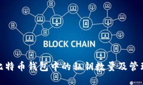 揭秘比特币钱包中的私钥数量及管理策略