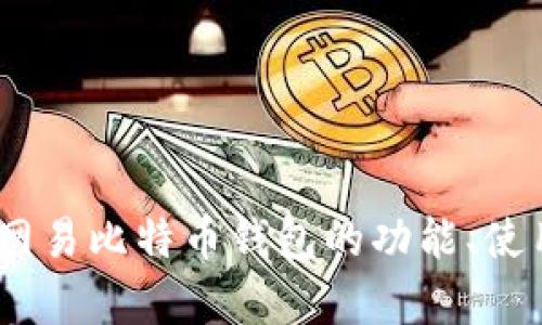 深度解析：网易比特币钱包的功能、使用及安全性