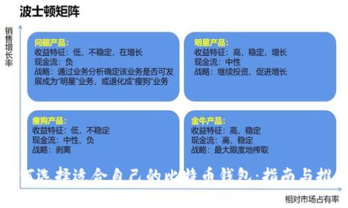 如何选择适合自己的比特币钱包：指南与推荐