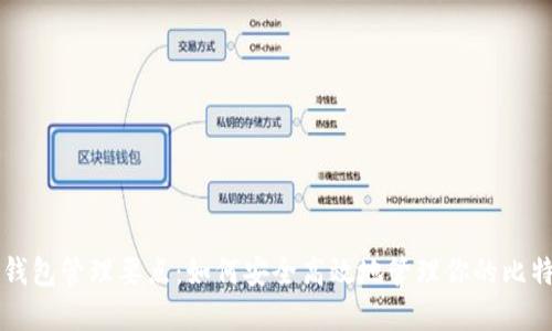 比特币钱包管理要点：如何安全高效地管理你的比特币资产