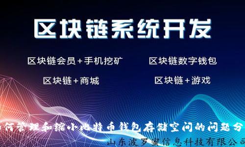 如何管理和缩小比特币钱包存储空间的问题分析