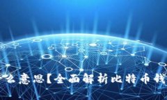比特币钱包是什么意思？
